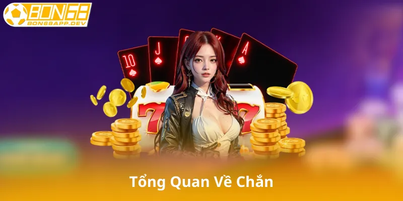 Tổng Quan Về Chắn