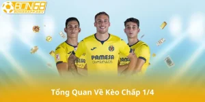 Kèo Chấp 1/4 Là Gì? Hiểu Đúng Bản Chất Của Kèo Đồng Banh Nửa Trái