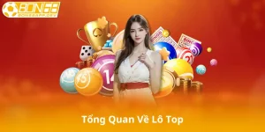 Tổng Quan Về Lô Top