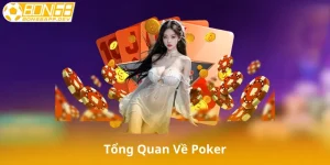 Tổng Quan Về Poker