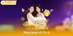 Tổng Quan Về Tá Lả