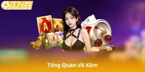 Tổng Quan Về Xâm